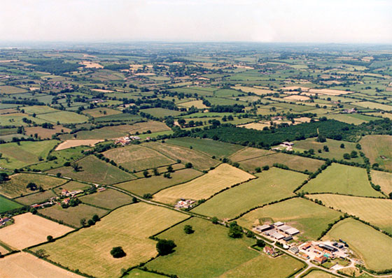 Organic Power, Horsington, Somerset